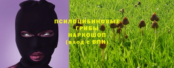 ПСИЛОЦИБИНОВЫЕ ГРИБЫ Богородск