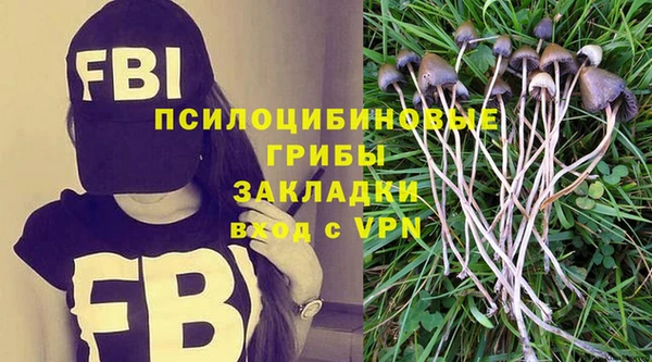 ПСИЛОЦИБИНОВЫЕ ГРИБЫ Богородск