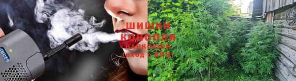 ПСИЛОЦИБИНОВЫЕ ГРИБЫ Богородск