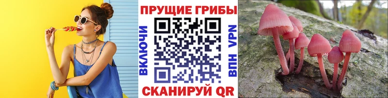 Псилоцибиновые грибы ЛСД  где купить   Чишмы 